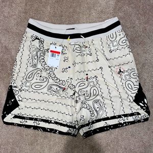 Travis Scott Cactus Jack Air Jordan Shorts - Size Large - Paisley